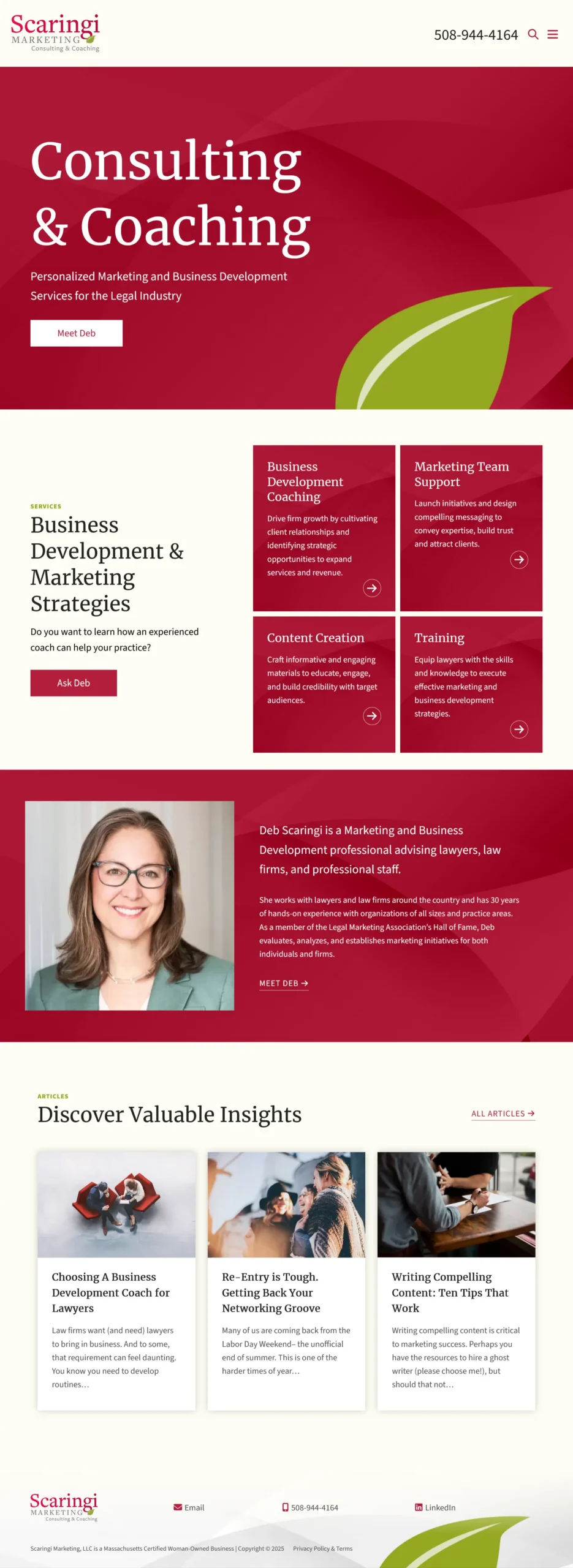 Scaringi Marketing website homepage design